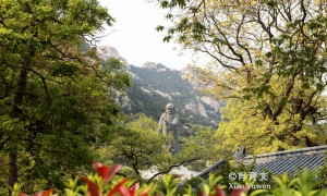 原创
我国北方，绝大多数庙堂大门是朝南开的，为什么崂山太清宫朝东开