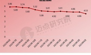 2023年6月中国酒店业发展报告