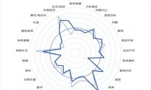 2023中国新商业调查|2023年上半年北京商业消费洞察报告