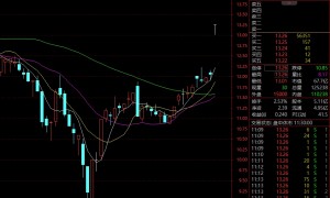 直线20%涨停！A股又一赛道火了