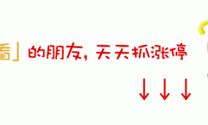 小众旅游目的地火了！知名酒店被订完、景区船票售磬…记者实探