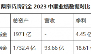 持牌消金半年报观察（一）： 头部争夺战谁最强？蚂蚁消金VS招联消金