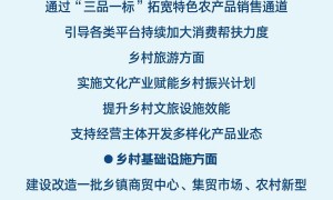 多方合力促消费 一揽子政策扩内需