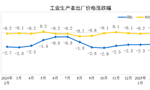 CPI同比转负，PPI降幅收窄，专家：1-2月物价走势偏弱，但促消费政策对物价有支撑作用