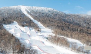 微视频｜“尔滨”之冬 热“雪”沸腾