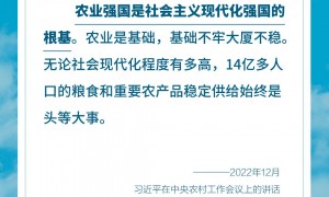 学习卡丨总书记谈“三农”，强调这些关键词