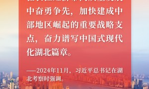 牢记总书记的嘱托丨湖北，何以支点