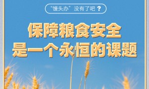 【奋进的春天】习近平的两会之问丨“‘馒头办’没有了吧？”