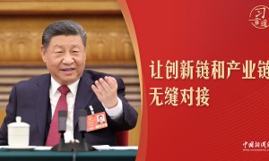 习言道｜全国两会，习近平再提两链