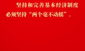 金句｜坚持和落实“两个毫不动摇”，总书记这样深入阐述