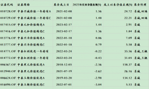 缺AI致2025开局落后，中泰资管姜诚千字长文回应：买的是企业的整个余生！