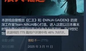 《浪人崛起》Steam褒贬不一：优化太差 4080S无法60帧