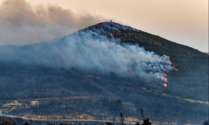 法媒：高温及强风致阿尔及利亚野火肆虐 已致34人死亡