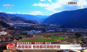 “花式派对”开启！玉兰怒放、冰凌破土，火锅走进油菜花田