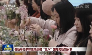 各地举行多彩活动庆祝“三八”国际劳动妇女节