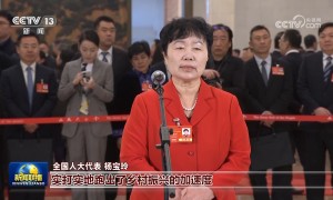 十四届全国人大三次会议“代表通道”再次开启