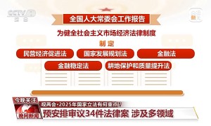 2025年国家立法有何重点？一文为你全梳理→