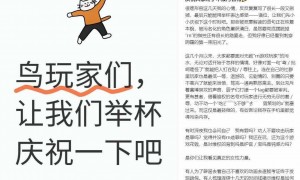 如鸢玩家自发辟谣，集体“反套路”引关注