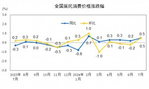 2024年7月全国CPI同比上涨0.5% 1­­-7月平均上涨0.2%